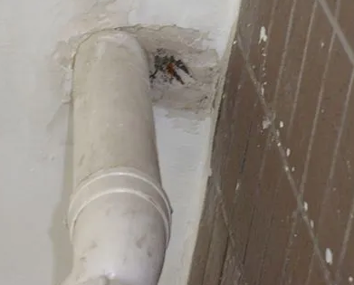 大安漏水检测哪家好